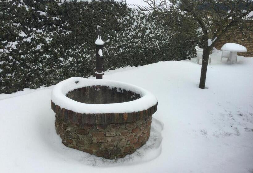 تختخواب و صبحانه De Witte Molen Kranenburg