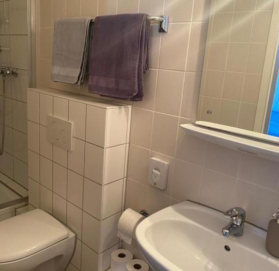 בית מלון כפרי Am See