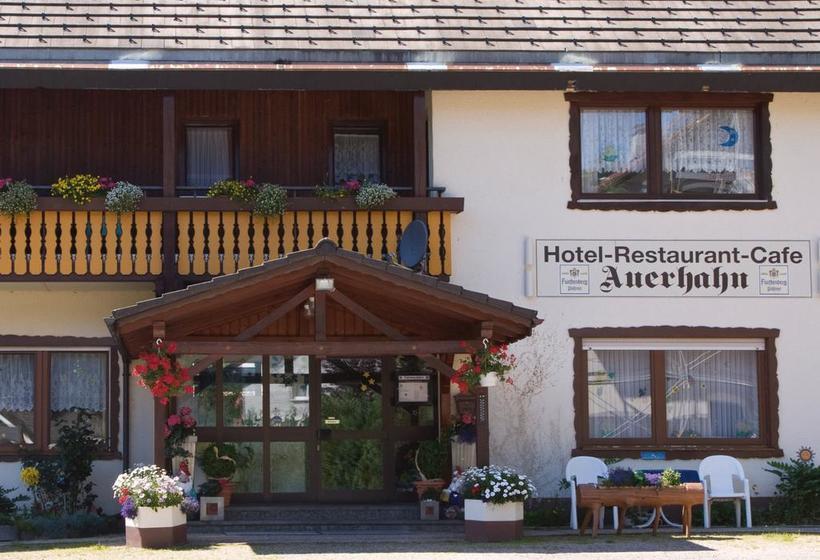 호텔 Bed & Breakfast Auerhahn   Black Forest
