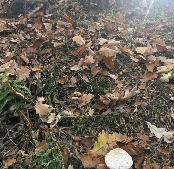 호텔 Prinz Albrecht