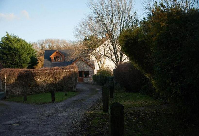 Bed and Breakfast Ballas Farm Country Guest House