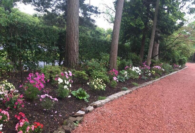 Bed and Breakfast Moorlands