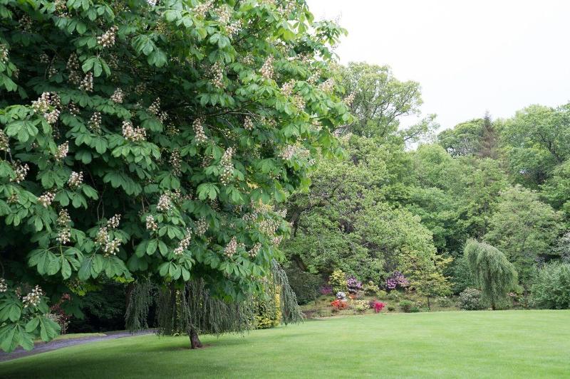 مبيت وإفطار West Plean House