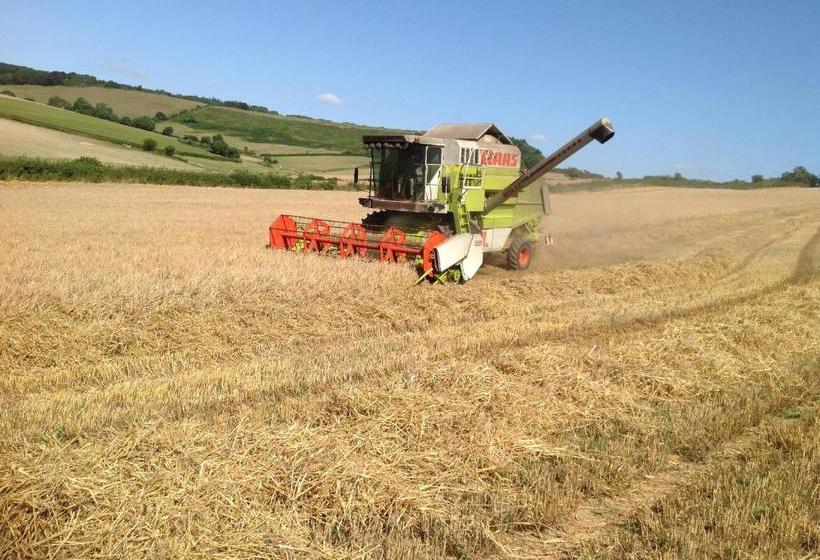 ベッドアンドブレックファースト Lower Pinn Farm