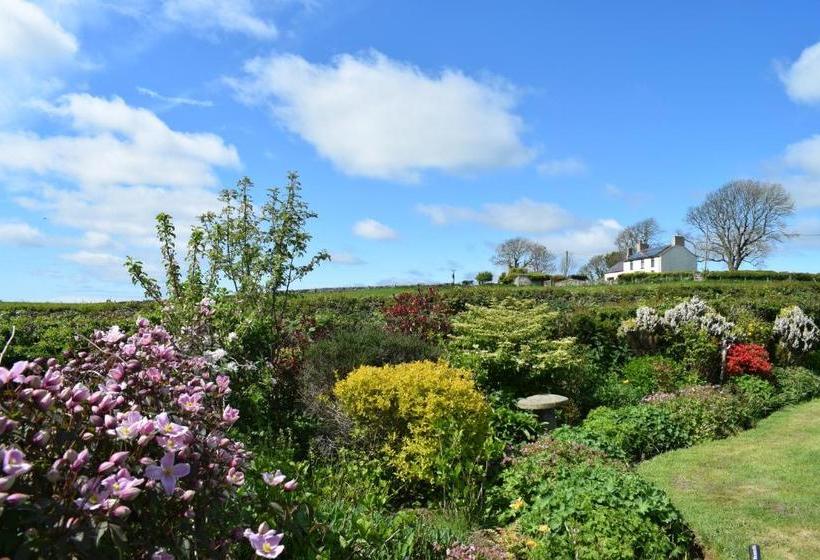 ベッドアンドブレックファースト Parc Yr Odyn