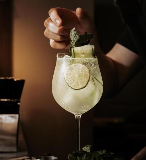 酒店 The Fuzzy Duck