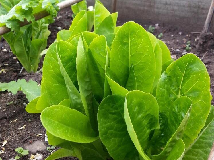 민박 Ternhill Farm House   5 Star Guest Accommodation With Optional Award Winning Breakfast