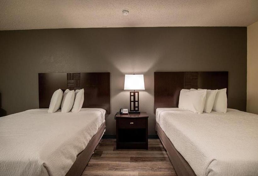 모텔 Lake View Inn