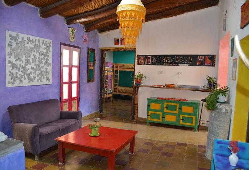 تختخواب و صبحانه Viracocha Art Hostel Cachi