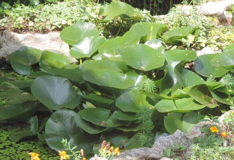 فندق Las Verbenas