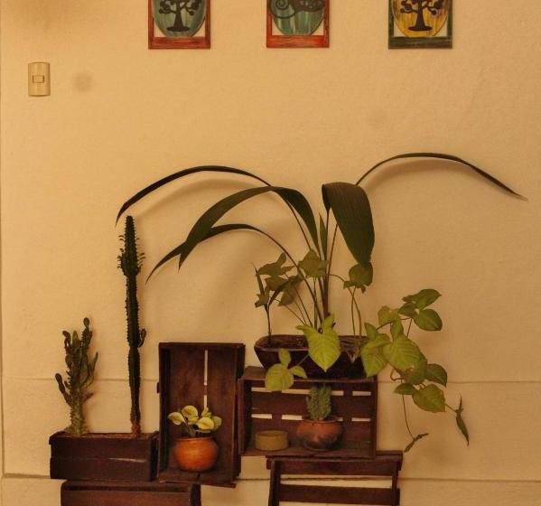 هاستل Hostal Mochiliers Bed And Breakfast