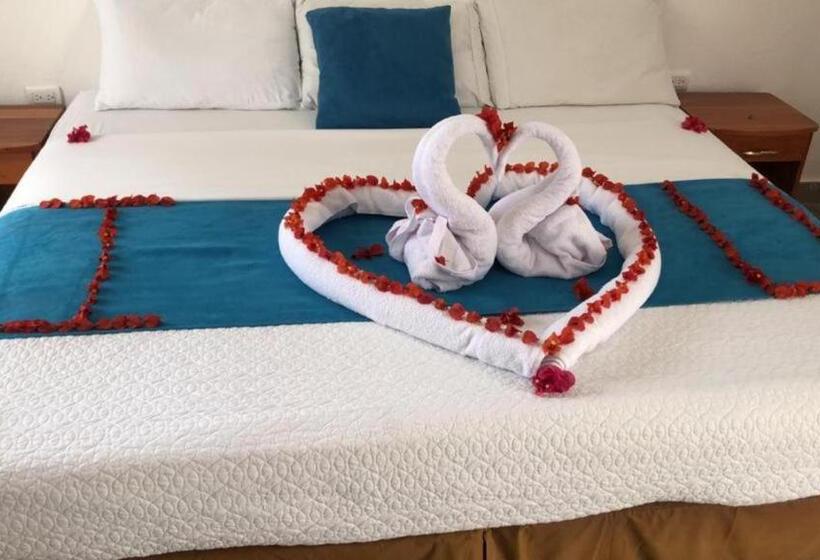 هاستل Galapagos Native