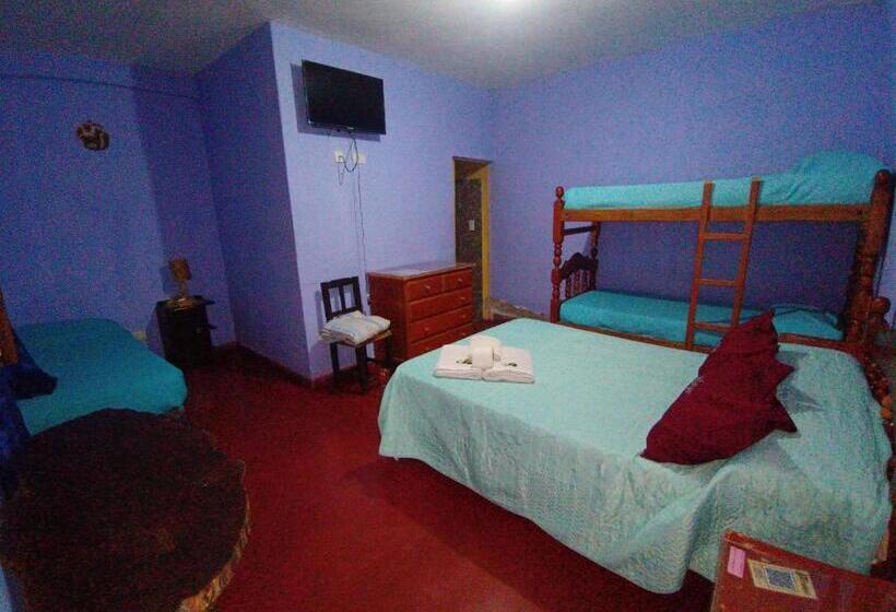 هاستل Hostal Benjamin