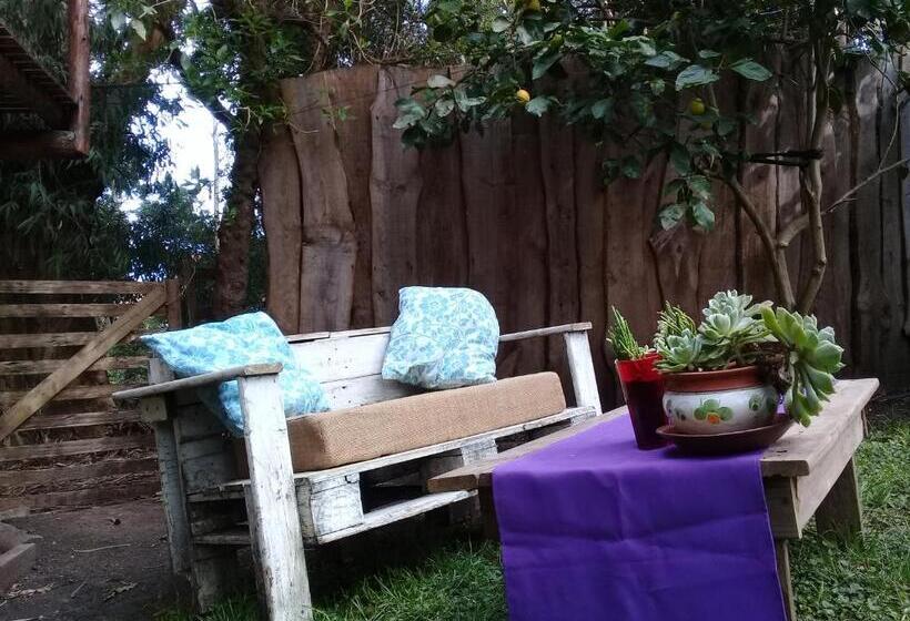 تختخواب و صبحانه Cabañas Las Moras