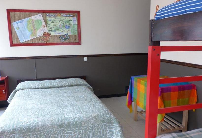 تختخواب و صبحانه Flying Donkey