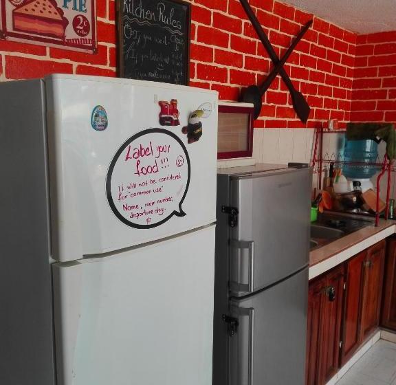 تختخواب و صبحانه Flying Donkey