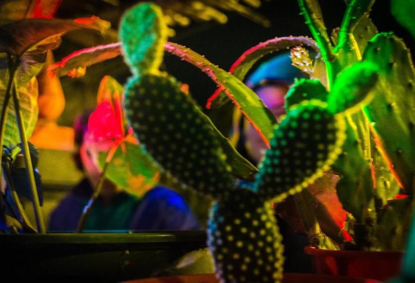 هاستل Posada Elisa Córdoba