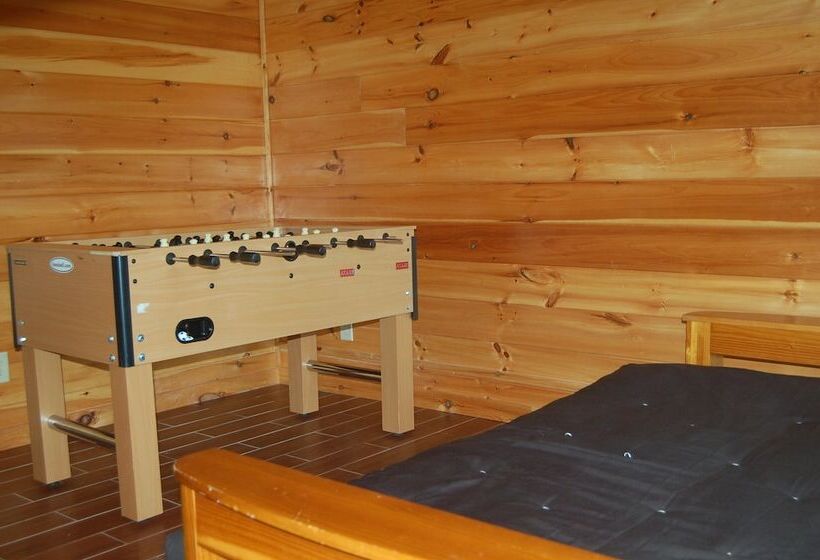 Spacious Cabin With Fantastic Long Range Mountain And Lake Views   Lake Lure   The Overlook 4 Bedroo