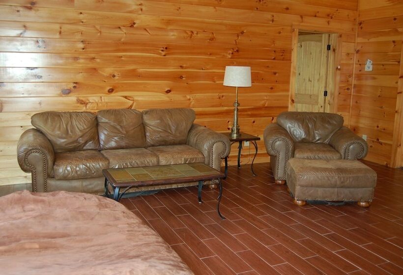 Spacious Cabin With Fantastic Long Range Mountain And Lake Views   Lake Lure   The Overlook 4 Bedroo