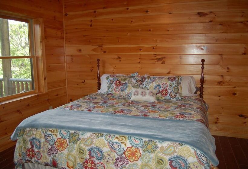 Spacious Cabin With Fantastic Long Range Mountain And Lake Views   Lake Lure   The Overlook 4 Bedroo