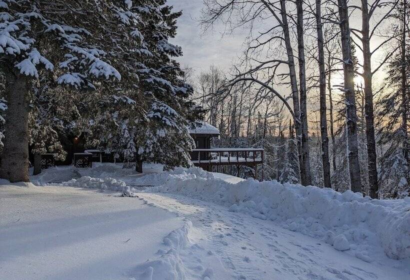 旅馆 Rustic Woodland Lodge