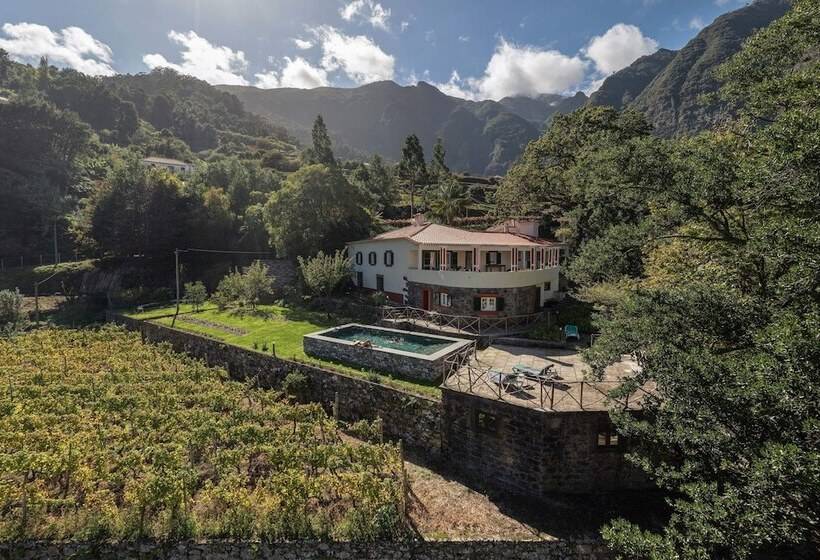 Casa Do Lanço   Malvasia, Wine And Laurissilva