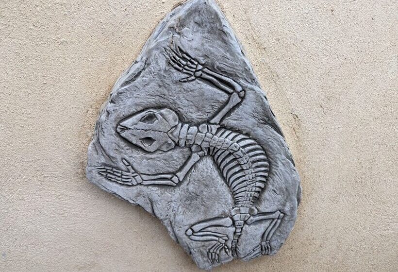 ペンション Jurassic Bay Holidays