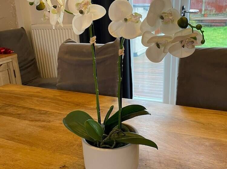 Резиденция Beautiful 3 Bed House In Romford
