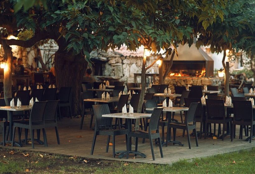 בית מלון כפרי Domaine Machja