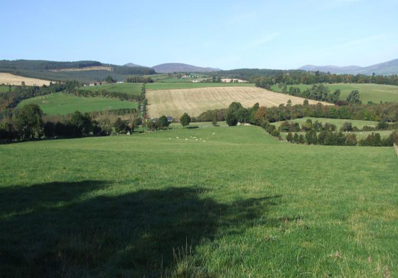 تختخواب و صبحانه Cherrybrook Country Home