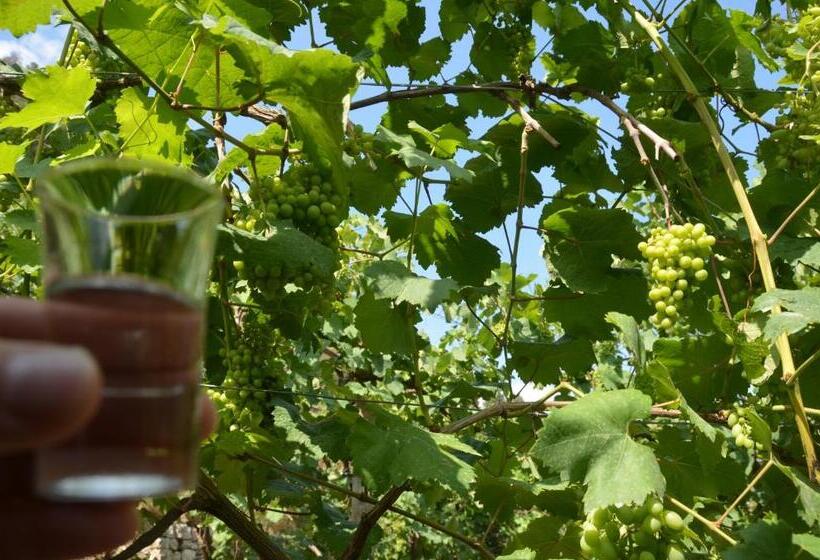 Guesthouse & Hostel Lorenc