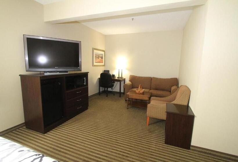 فندق Bowman Inn And Suites
