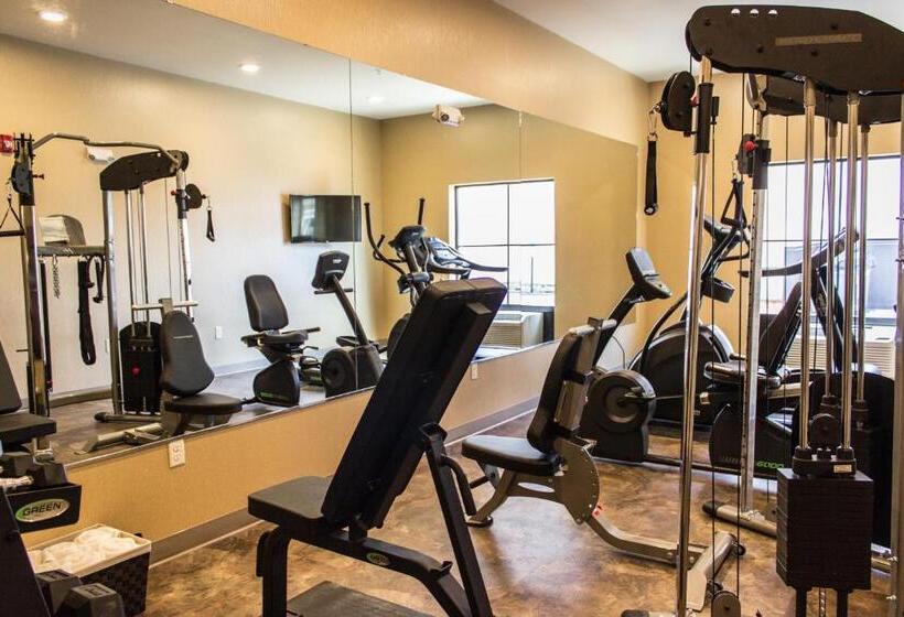 Cobblestone Hotel & Suites   Chippewa Falls