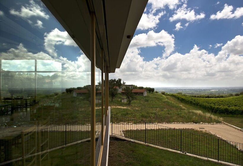 فندق Cincinnato Wine Resort