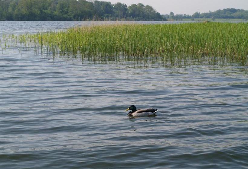 هتل Hostel Maribo Vandrerhjem