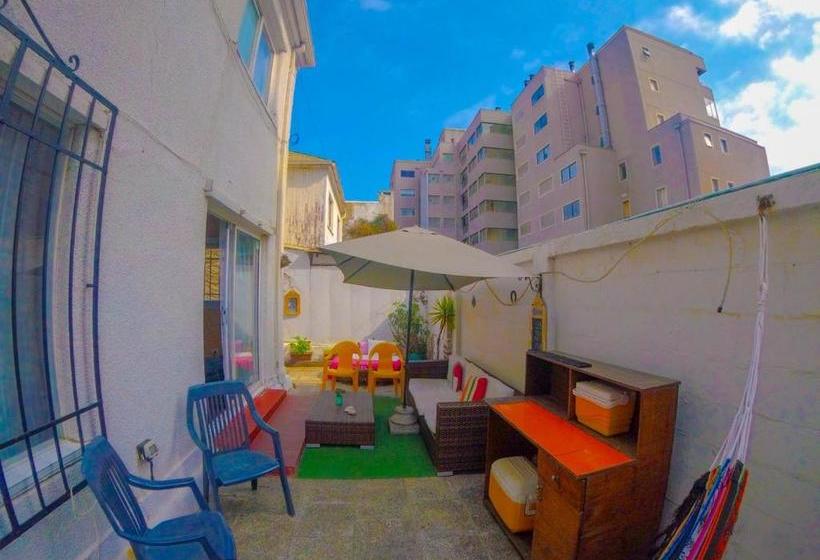 هتل Hostel Jaguar