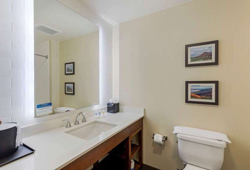 هتل Comfort Suites Loveland