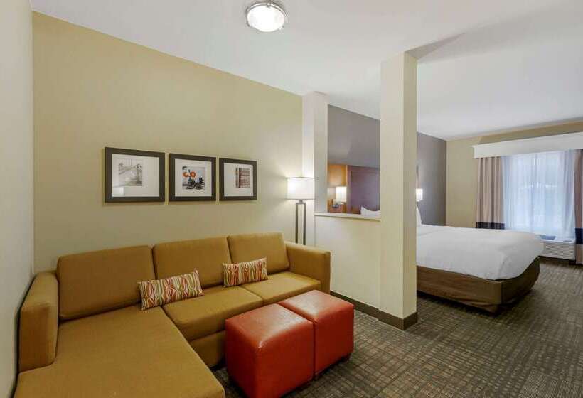 هتل Comfort Suites Loveland