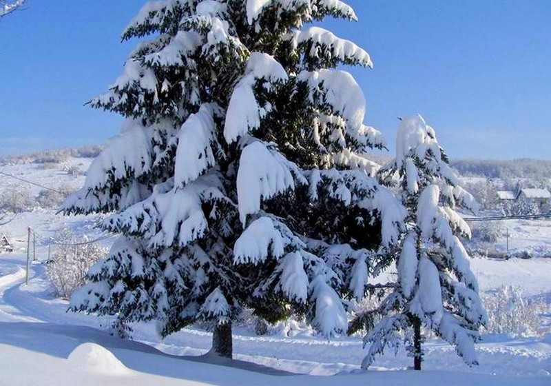 בית מלון כפרי House Josipa