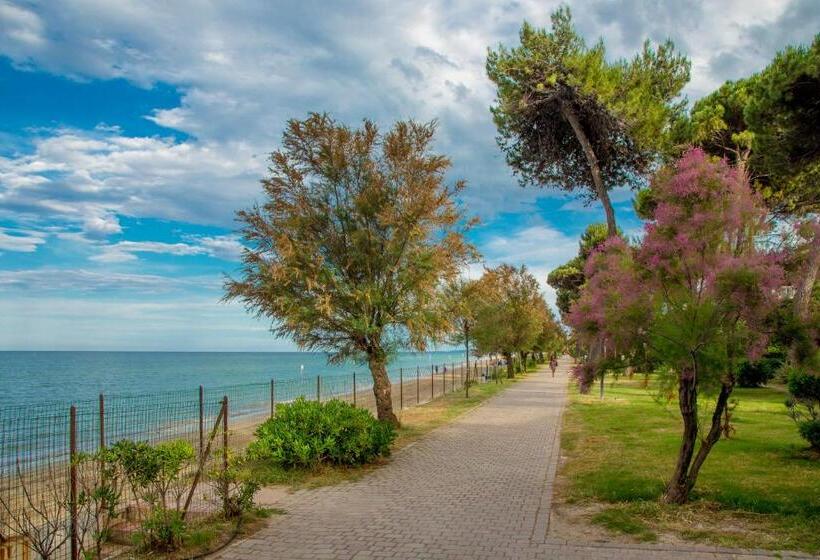 فندق Albergo Il Veliero