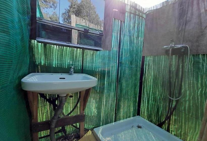 بنسيون Milagro De Algar