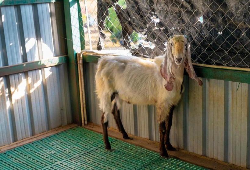 酒店 Abhishta Agri Farm Stay