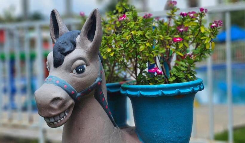 בית מלון כפרי Cabañas Cafeteras Cerritos