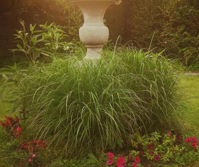 بنسيون Monsieur Michel