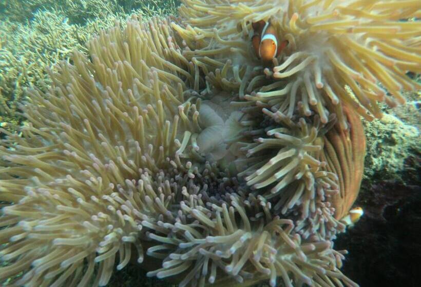 پانسیون Private Island Guest House