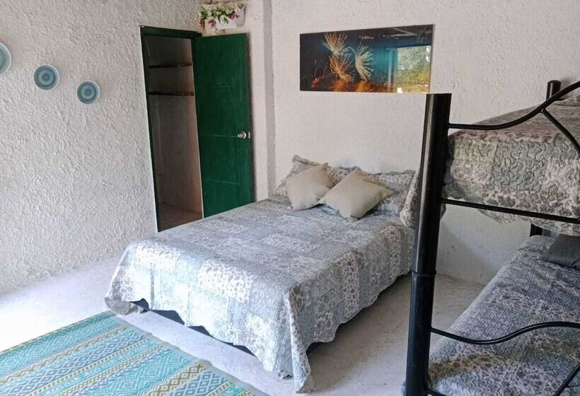 پانسیون Villa Mohana