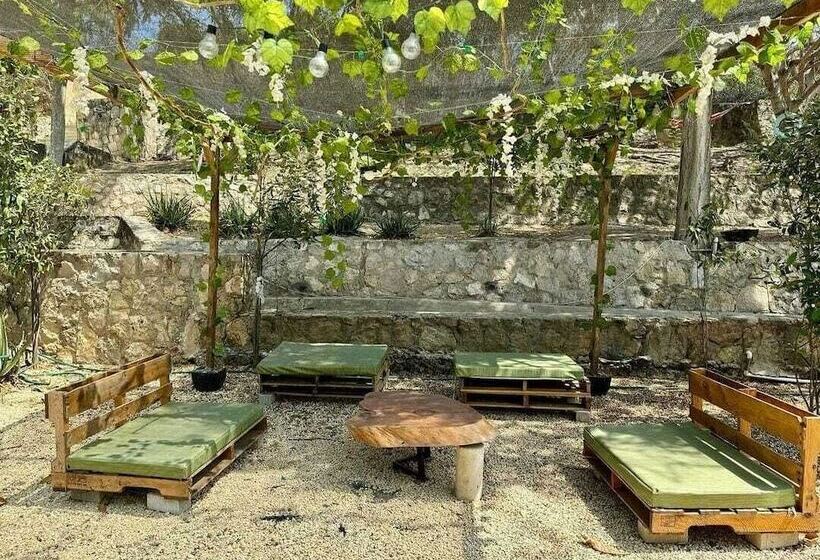 پانسیون Villa Mohana