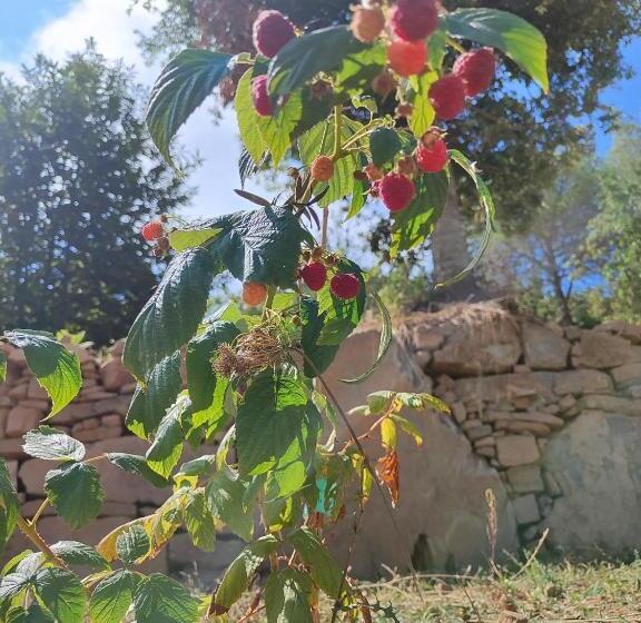 ホテル Agriturismo Scialà