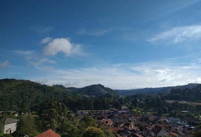 ペンション Casa Di Heitor   Suítes