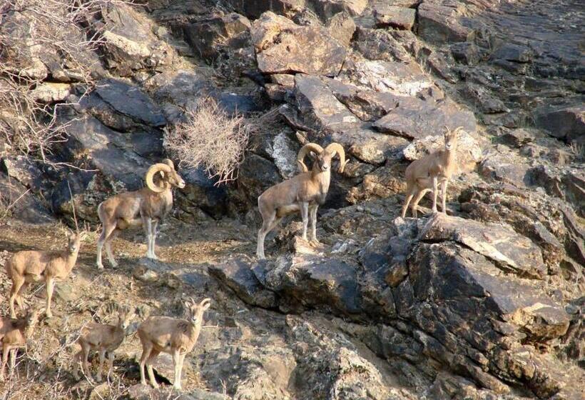 פנסיון Shiringul Guesthouse In Nuratau Mountain